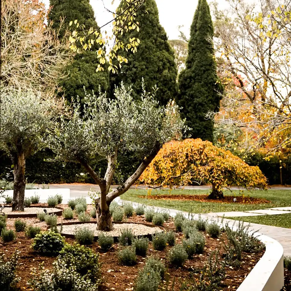 JCM Group - Southern Highlands Landscaping